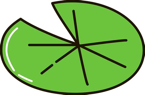 Lily Pad Png Free Logo Image