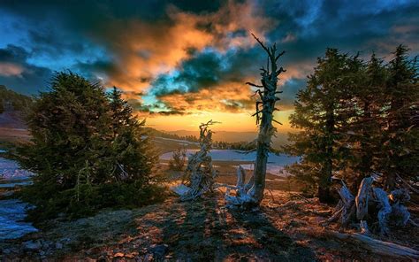 Landscape Nature Fall Sunset Clouds Snow Trees Hill Sunlight