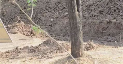 Picture Of Ditch Goes Viral As People Cant Spot Leopard In Mind