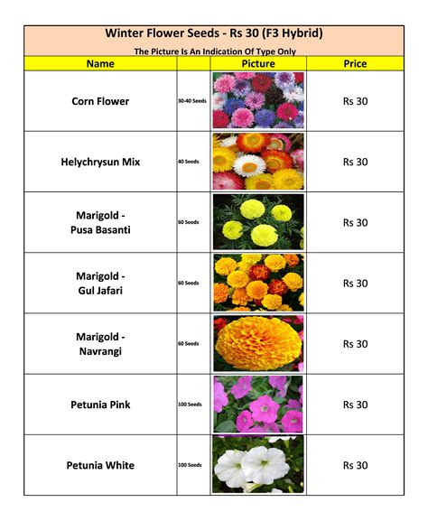 Winter Flower Seeds Bulbs List — Kitchen Home Gardener