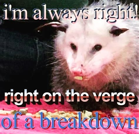 when a spy and an assassin love each other very much — gotham chars as o possum memes