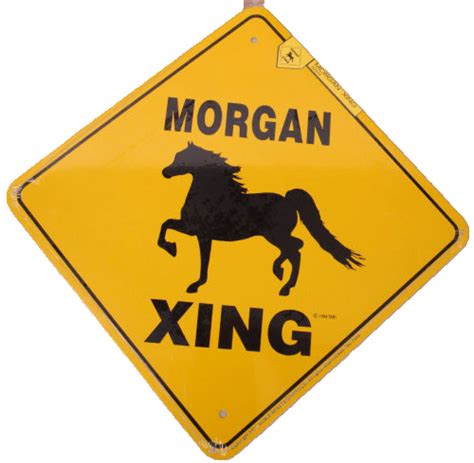 Morgan Horse Aluminum Xing Sign Crossing Big Black Horse Llc