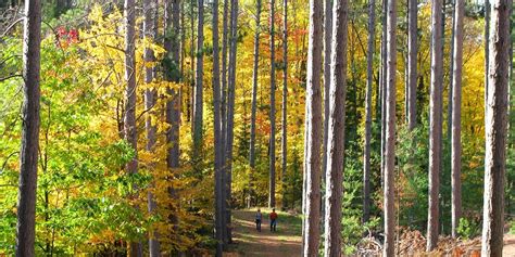 Your Guide To Wisconsins Best Fall Hikes Wisconsin Travel Best Bets