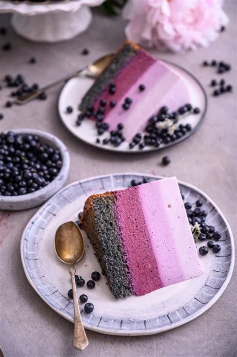 Borovničevo-jogurtova ombre torta - Midva Kuhava
