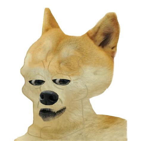 Le Handsome Doge Template Has Arrived Rdogelore
