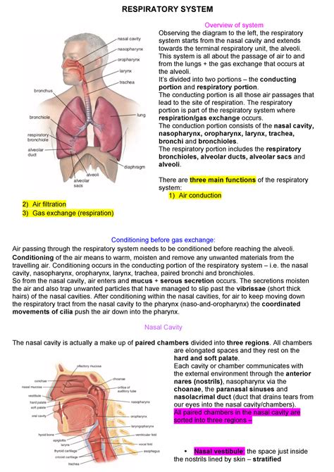 Respiratory System 2018 Lecture Note Textbook Summary Notes Overview