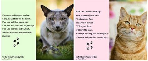 Im Not Sorry Poems By Cats The Purrington Post