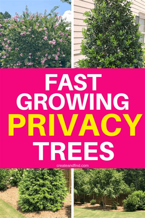 Fast Growing Privacy Trees Create And Find Privacy Trees Fast
