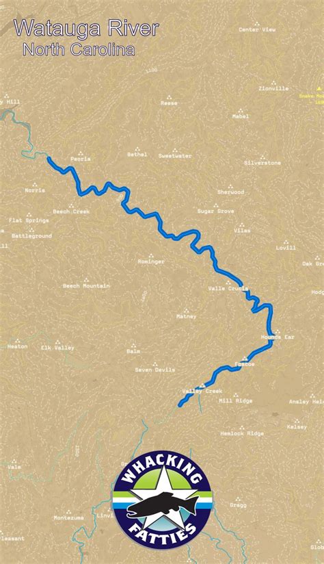 Cicadas are hatching and we are seeing some activity on them. Watauga River Fishing Report | Fishing report, Fly fishing ...