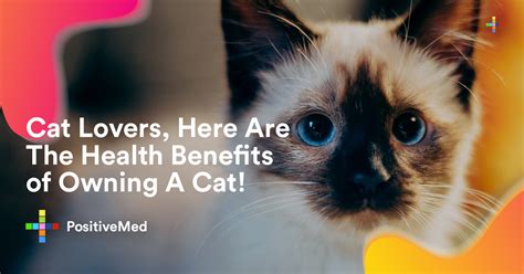 The Health Benefits Of Owning A Cat PositiveMed