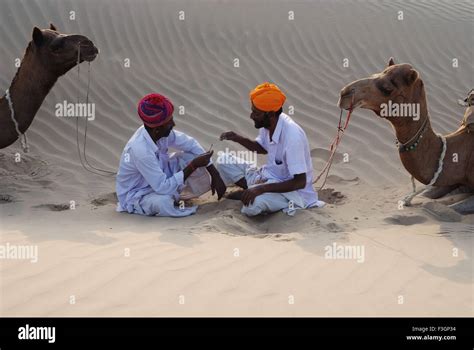 Two Men With Camels Resting In Desert Khuri Jaisalmer Rajasthan