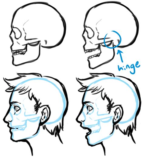 Side View Of Face Drawing Open Mouth