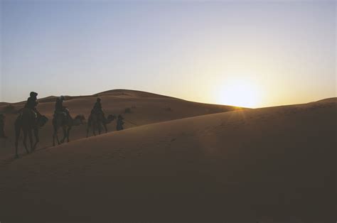 Free Images Landscape Sand Sunrise Sunset Arid Desert Dune