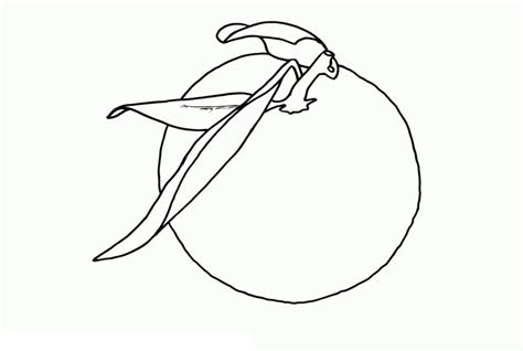 Gambar kolase buah apel kolase gambar gambar still life. Berikut Gambar Sketsa Hitam Putih Mewarnai Jeruk Terbaru ...