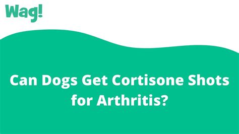 Are Cortisone Shots Bad For Dogs
