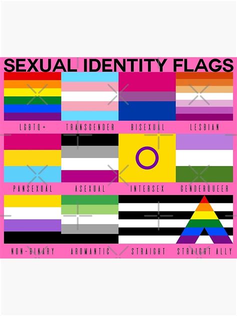 Sexual Identity Pride Flags Lgbtq Pride Month Pink Poster For