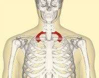 Orit hickman demonstrates the first rib muscle energy technique (met) to treat brachial plexus. The First Rib