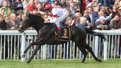 Baden-Baden: Baden Racing Steher Cup (Listenrennen) - YouTube