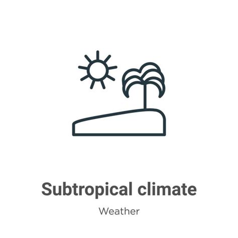 Icono De Vector De Contorno De Clima Subtropical Icono De Clima