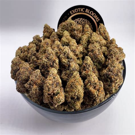 Pop Rox Exotic Blooms Gentleman Toker