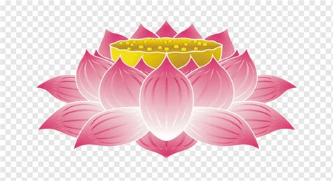 Buddhist Lotus Flower Drawing