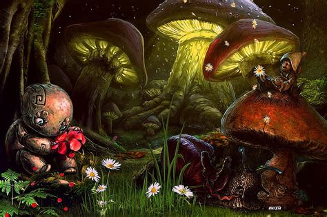 Fantasy Mushroom Forest Background Mushroom Forest Hd Wallpaper