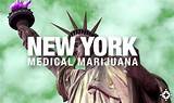 Images of Medical Marijuana Requirements Ny