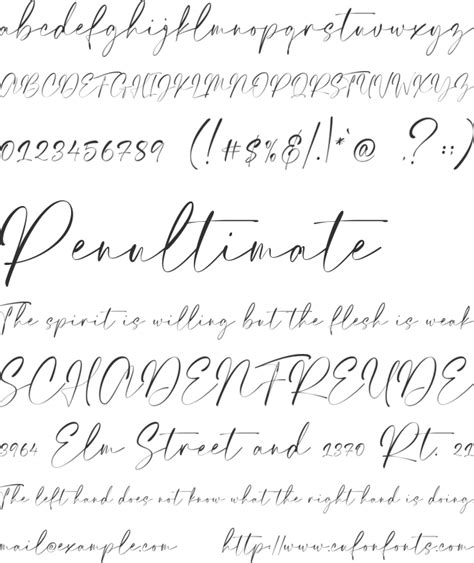 Elegant Signature Font Download Free For Desktop And Webfont