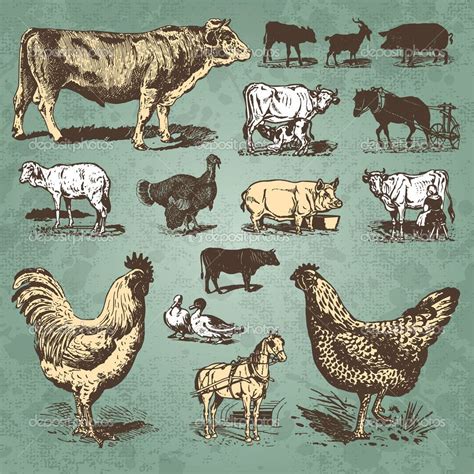 Colors With Sketch Vintage Farm Farm Animals Animal Illustration