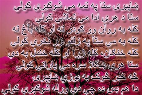 Pashto Best Latest Poetry Ghazal Shayari Pashto Loving Poetry With