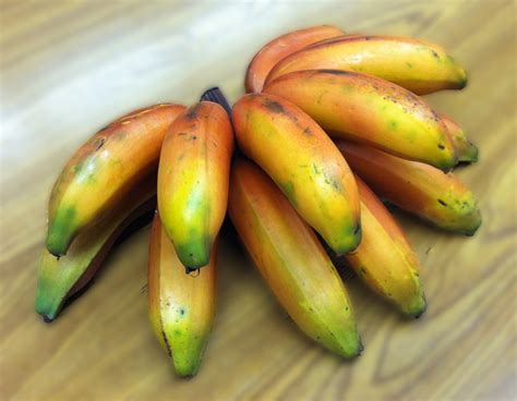 Celebrate Maui Sharing Rare Red Bananas From My Back Yard