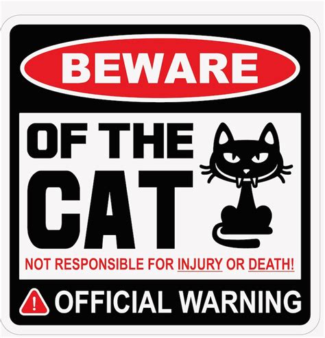 Beware Of Cat 12x12 Funny Novelty Sign Corrugated Etsy