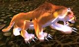 WoW Rare Spawns: Unique Hunter Pets