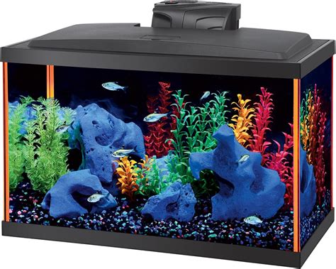 Best 10 Gallon Fish Tanks 2020 Get Aquarium Fish