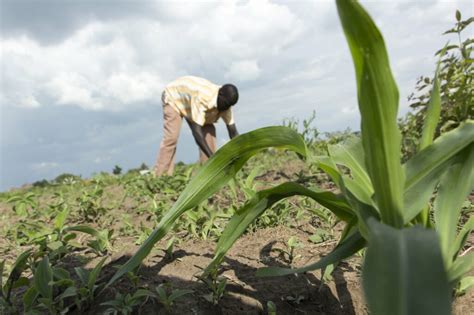 World food program usa furthers america's longstanding. Why You Should Invest In Zero Hunger - World Food Program USA