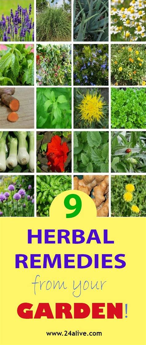 9 Herbal Remedies For Everything From Your Garden Herbal Remedies