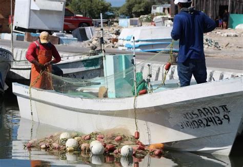 Pesca De Mero En Yucatán Pasa Por Uno De Sus Peores Momentos
