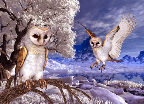 Winter Scene Two Barn Owls Digital Art By John Junek Fine Art America
