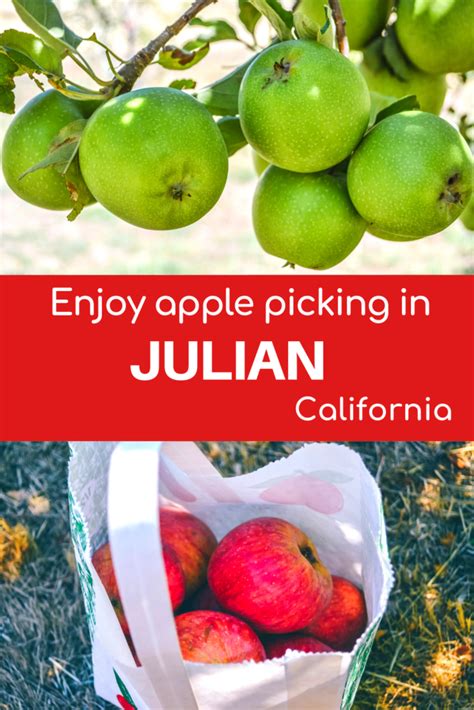 Julian Apple Picking California Exploring Our World