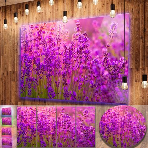 Designart Bright Purple Lavender Field Tihany Large Floral Metal Wall