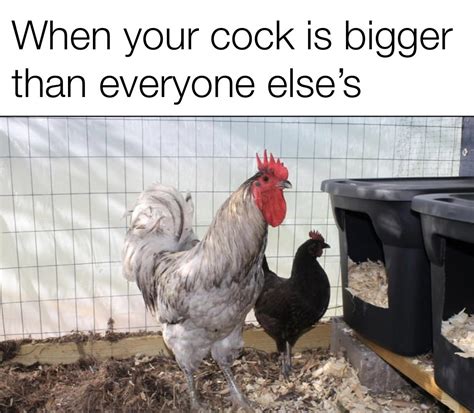 Big Cock Energy R Meme