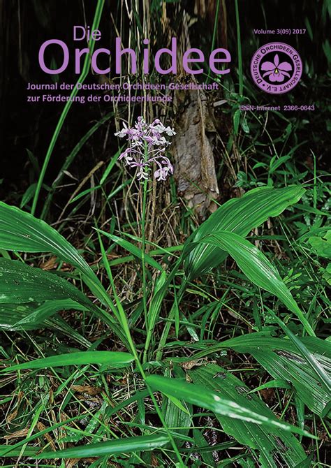 The david icke guide to the. (PDF) Calanthe siargaoensis sp. nov. (Orchidaceae), a new ...