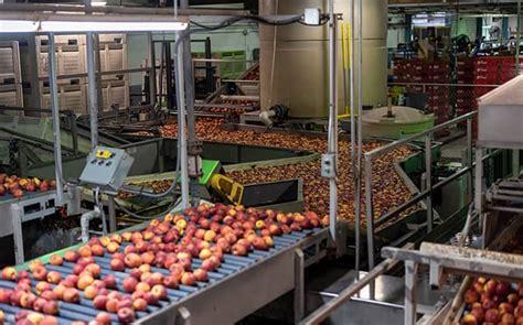 Pests in food retail, processing and distribution facilities are not just nuisances; Food Safety Services For Food & Beverage Processors In ...