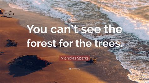 Nicholas Sparks Quote “you Cant See The Forest For The Trees”