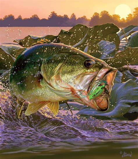 Agnew Al Fishing Pictures Bass Fishing Pictures Fish Painting