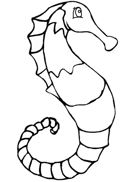 Seahorse Coloring Pages