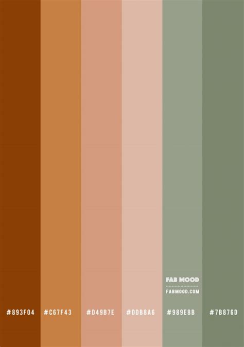 Brown and Sage Colour Palette | sage and brown color scheme