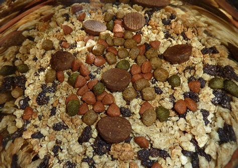 In the 60's, the original trader joe changed the name and they are real food bars that to me, are worth the price. What's Good at Trader Joe's?: Trader Joe's Dog Food...For ...