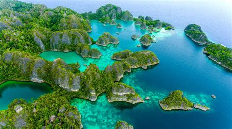 Raja Ampat Der Weltbeste Tauchplatz Reiseführer