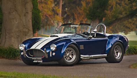 Decide how big you'd like your car care kit to be, then purchase a container accordingly. A Few Thoughts on "All These Cobra Kit Cars." | Rare Car ...